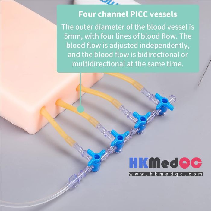 Ultrasound-Guided Vascular Puncture Model – PICC, Blood Circulation