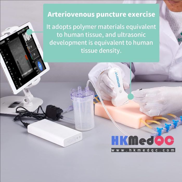 Ultrasound-Guided Vascular Puncture Model – PICC, Blood Circulation