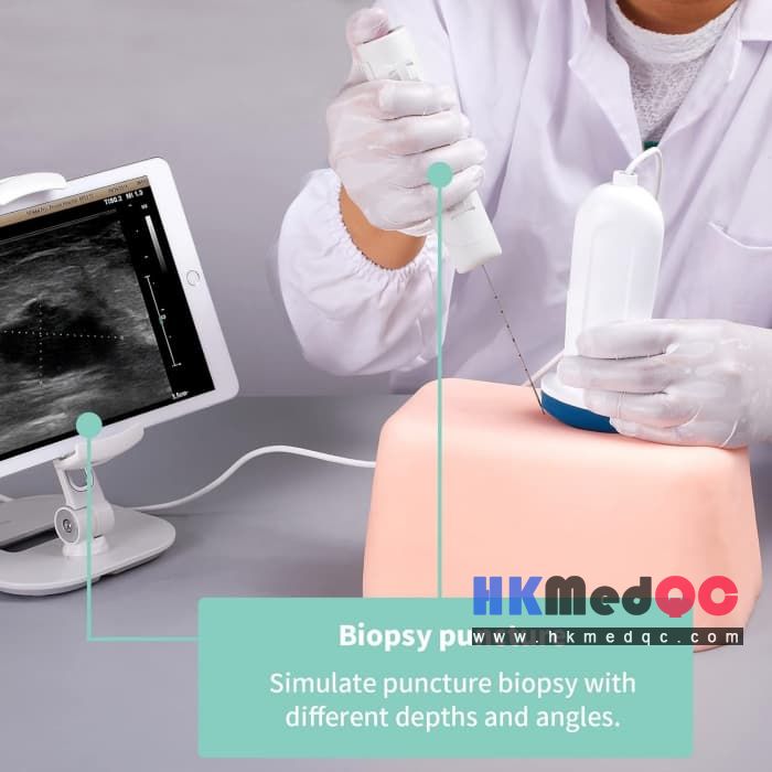 Abdominal Mass Exploration Ultrasound Practice Model,Puncture model