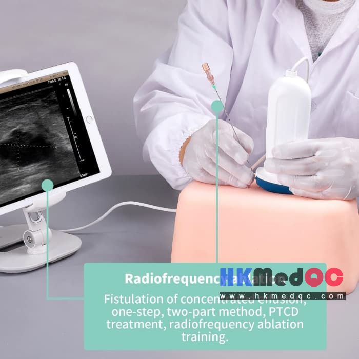 Ultrasound-Guided Abdominal Puncture Training Phantom,Cyst Drainage & PTCD Pract