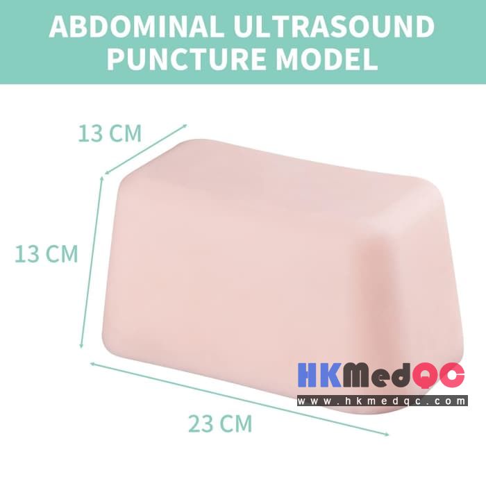 Ultrasound-Guided Abdominal Puncture Training Phantom,Cyst Drainage & PTCD Pract