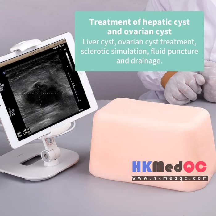 Ultrasound-Guided Abdominal Puncture Training Phantom,Cyst Drainage & PTCD Pract