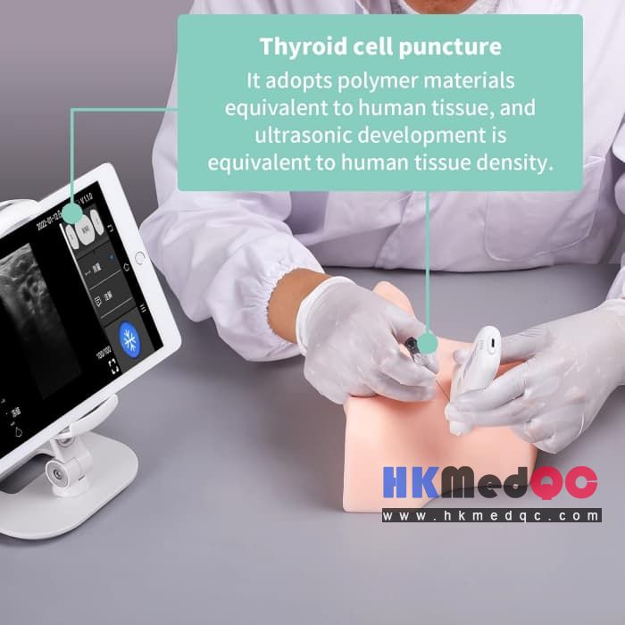 Thyroid Ultrasound Puncture Phantom for Biopsy & Ablation Training