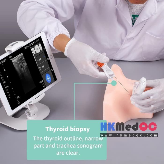 Thyroid Ultrasound Puncture Phantom for Biopsy & Ablation Training