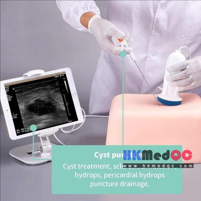 Abdominal Interventional Ultrasound Practice Model, Natural Skin Tone 24×17×30cm