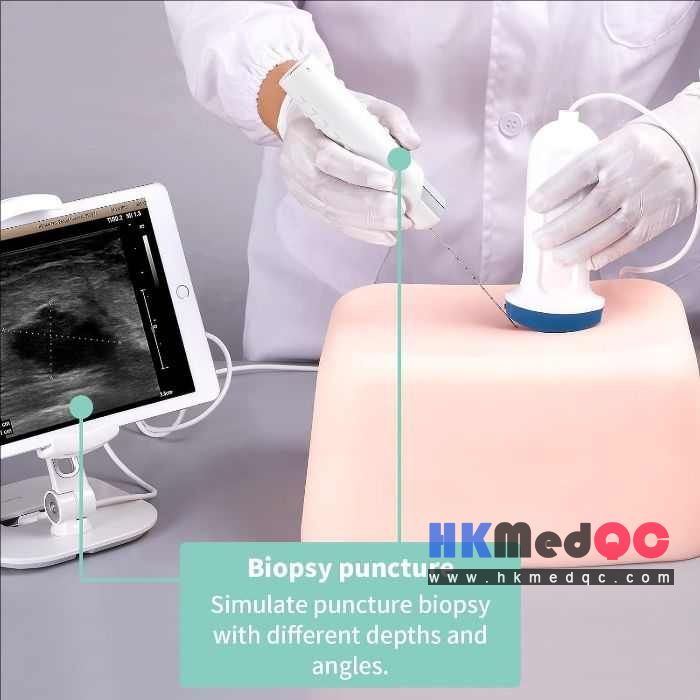 Abdominal Interventional Ultrasound Practice Model, Natural Skin Tone 24×17×30cm