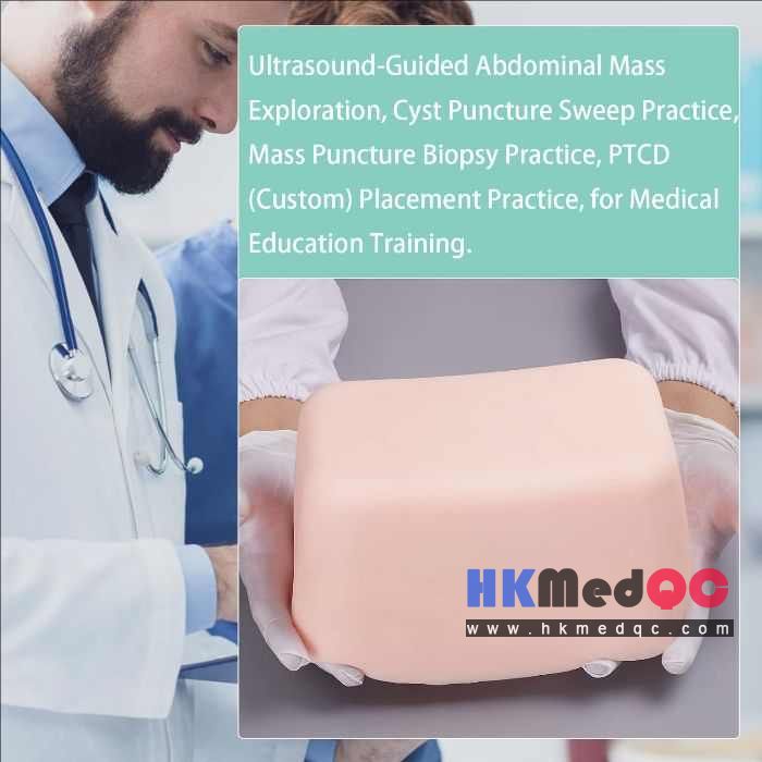 Abdominal Interventional Ultrasound Practice Model, Natural Skin Tone 24×17×30cm