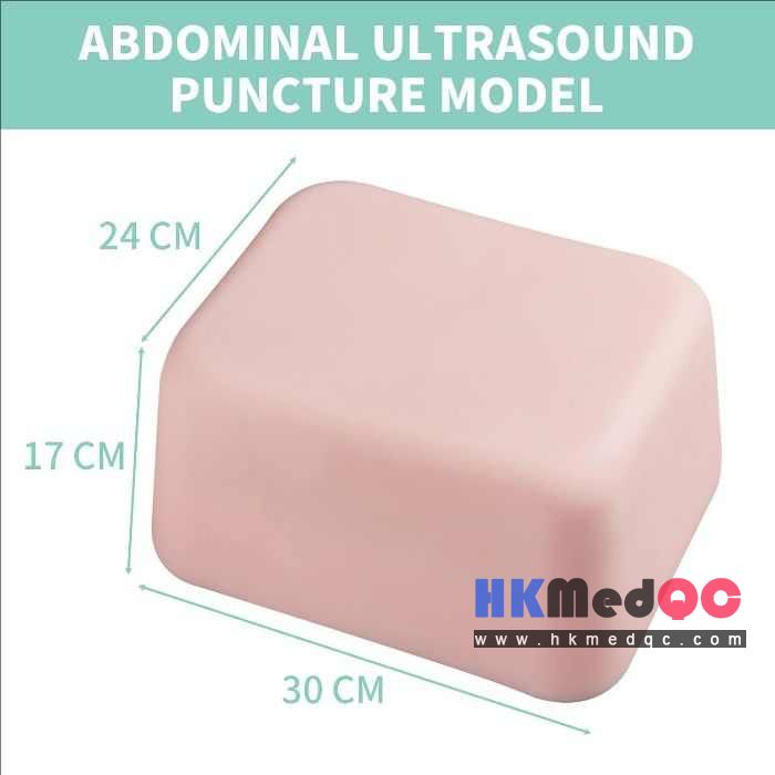 Abdominal Interventional Ultrasound Practice Model, Natural Skin Tone 24×17×30cm