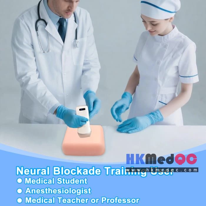 Nerve Block Puncture Phantom,Ultrasound Injection Simulator 