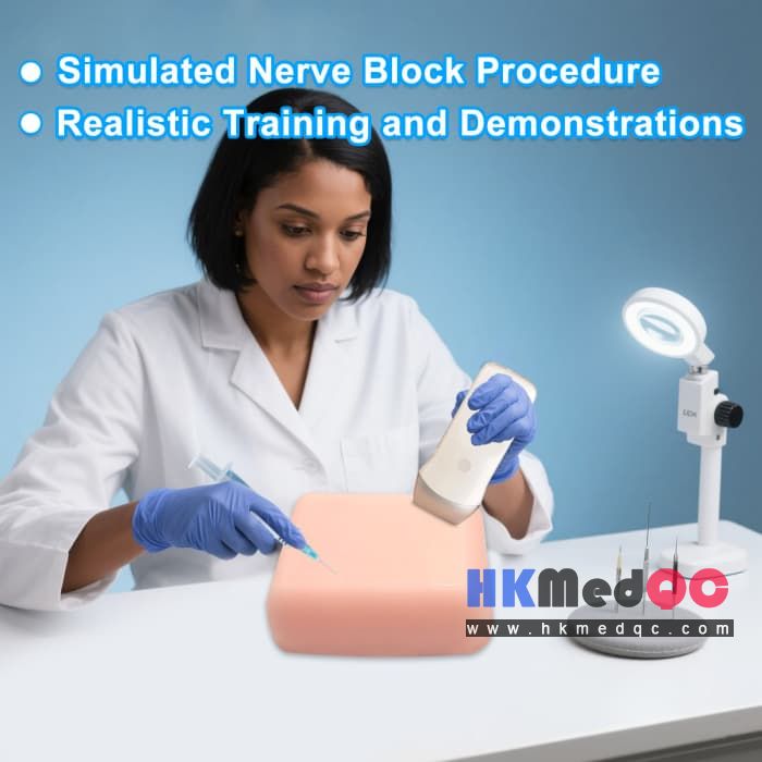 Nerve Block Puncture Phantom,Ultrasound Injection Simulator 