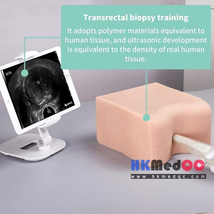 Prostate Puncture Training Model,Transrectal Biopsy Training
