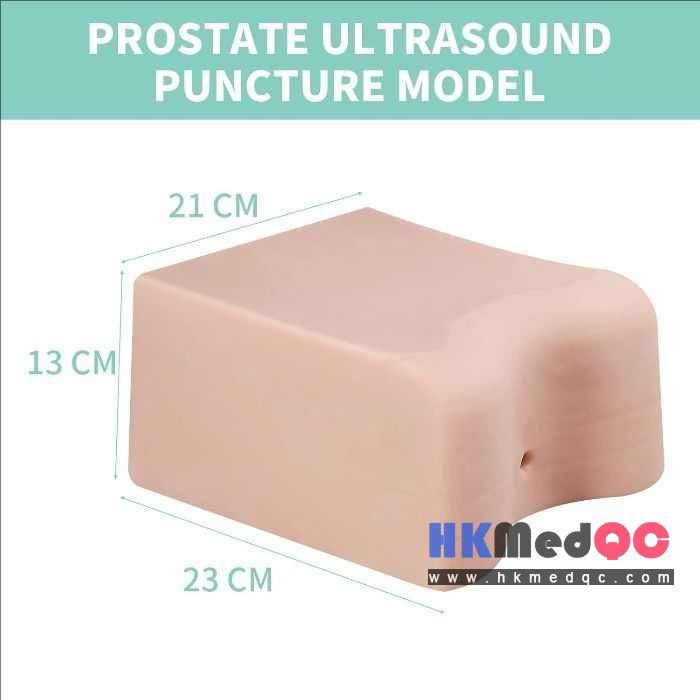 Prostate Puncture Training Model,Transrectal Biopsy Training