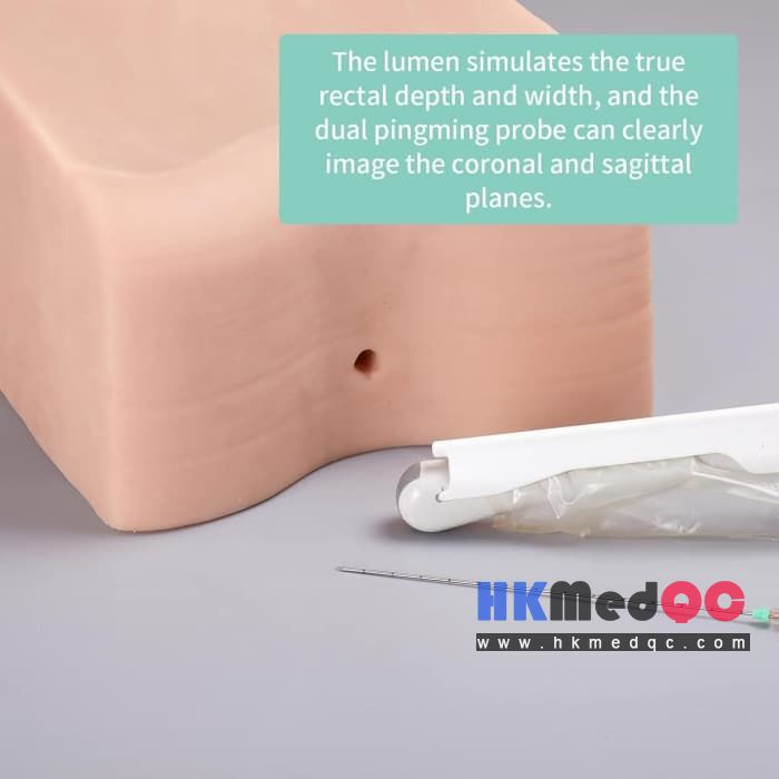 Prostate Puncture Training Model,Transrectal Biopsy Training