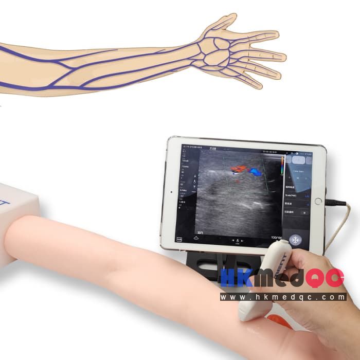 Arm Vascular Puncture Model,Ultrasound PICC Catheter Injection simulator