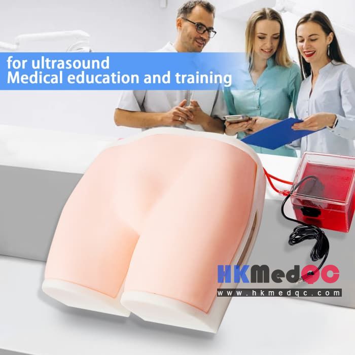 Buttock muscle injection training model,Femoral Vein Puncture Simulator
