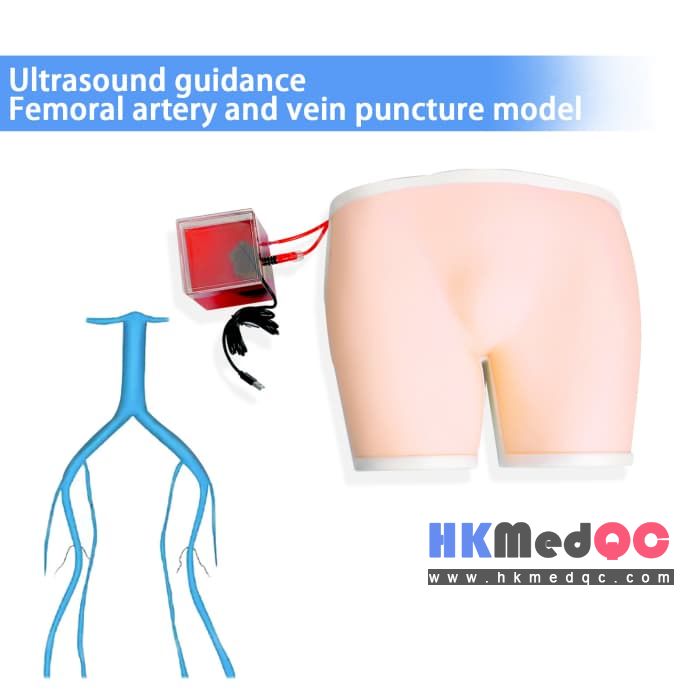 Buttock muscle injection training model,Femoral Vein Puncture Simulator