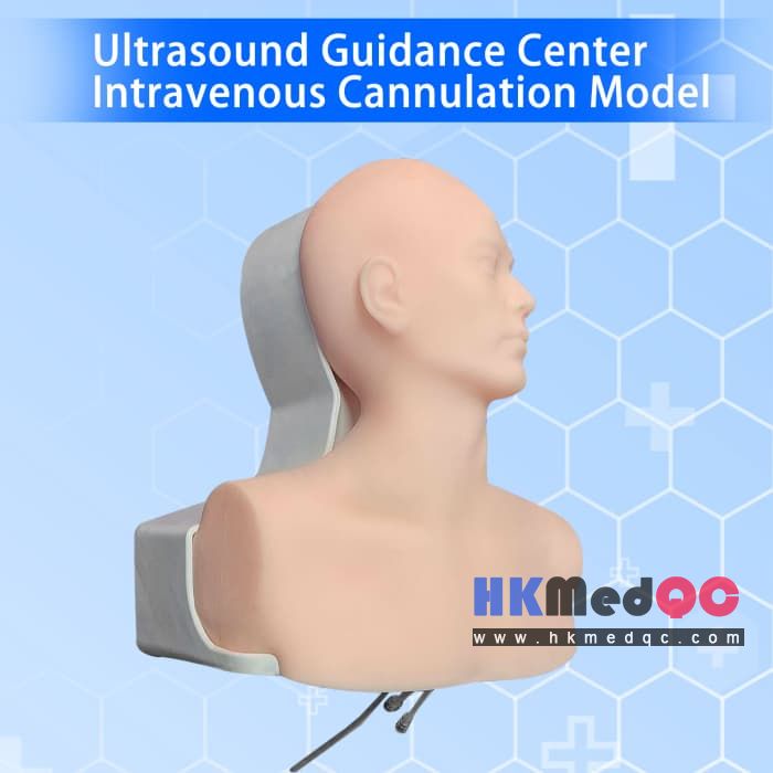 Center Intravenous Cannulation simulation ,Ultrasound Head-neck Puncture Model