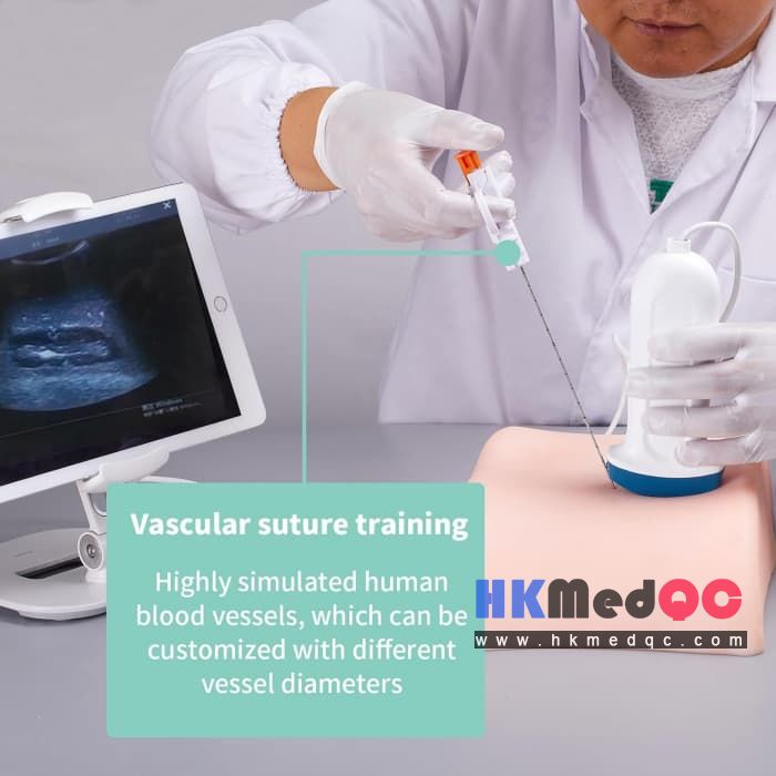 Double Kidney Ultrasound Puncture & Biopsy Training Model