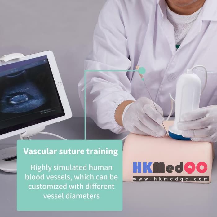 Double Kidney Ultrasound Puncture Phantom,Biopsy Vascular Suture Training Model