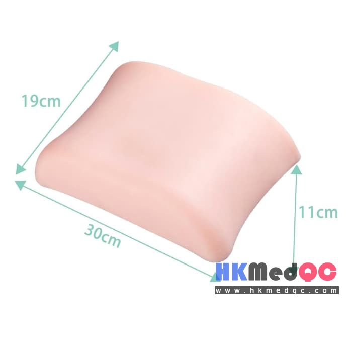 Double Kidney Ultrasound Puncture Phantom,Biopsy Vascular Suture Training Model