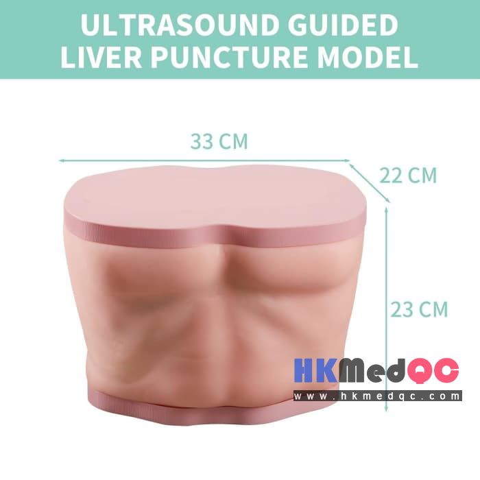 Realistic Full Abdomen Liver Puncture Model,Liver Biopsy Simulator