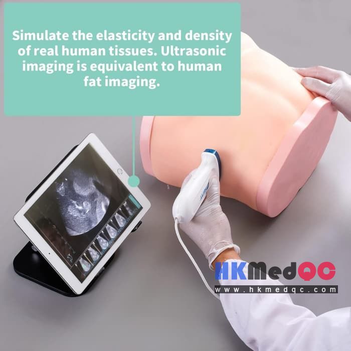 Realistic Full Abdomen Liver Puncture Model,Liver Biopsy Simulator