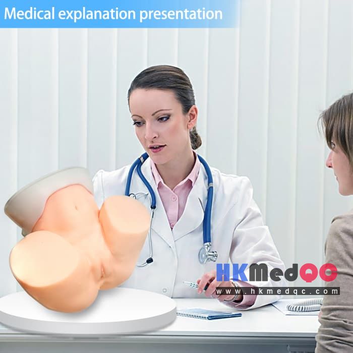 Oocyte Aspiration Training Simulator,Pelvic Examination Egg Retrieval Model