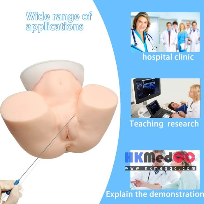 Oocyte Aspiration Training Simulator,Pelvic Examination Egg Retrieval Model