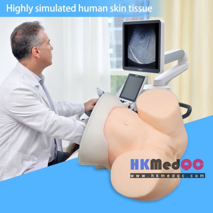 Oocyte Aspiration Training Simulator,Pelvic Examination Egg Retrieval Model