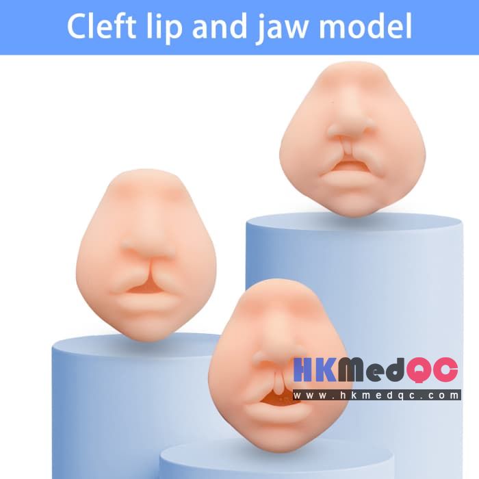 Cleft lip Surgery Simulation Model,Cleft lip and jaw Oral Practice Model