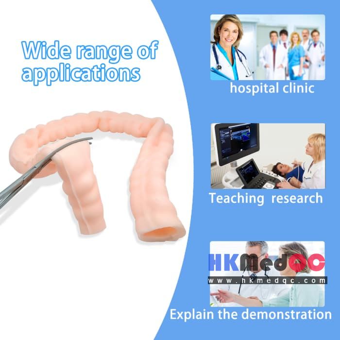 Intestinal Suturing Practice Model,Colon Surgery Training Model