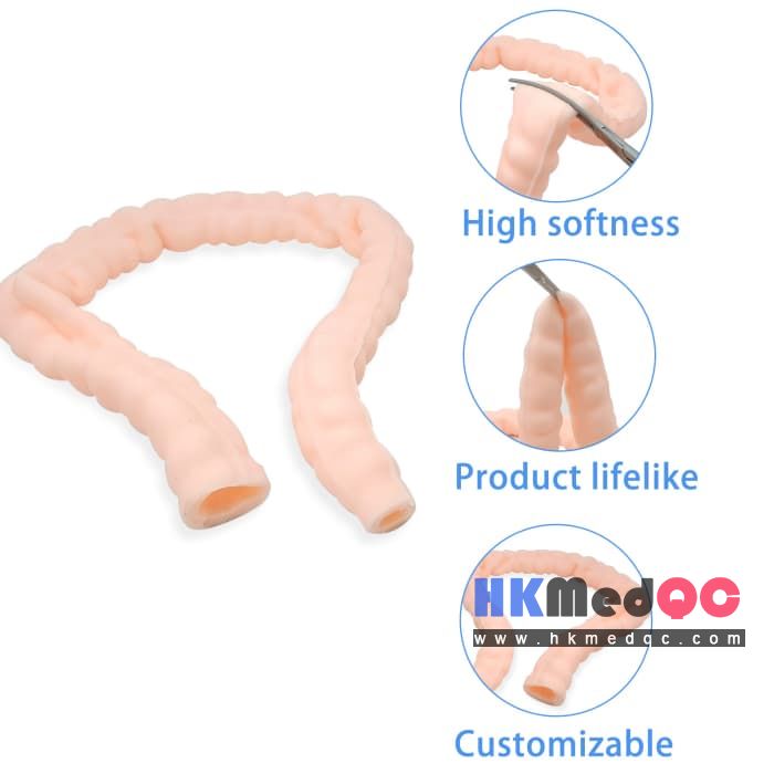 Intestinal Suturing Practice Model,Colon Surgery Training Model