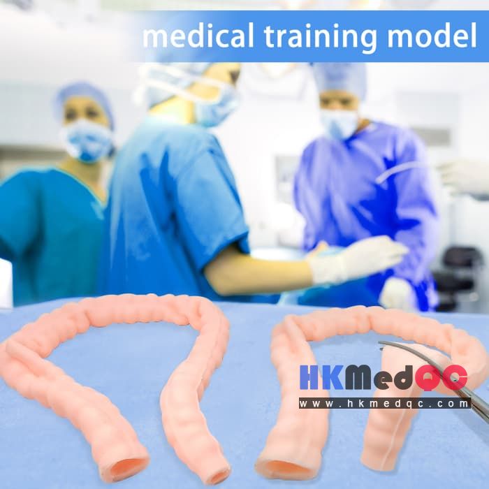 Intestinal Suturing Practice Model,Colon Surgery Training Model
