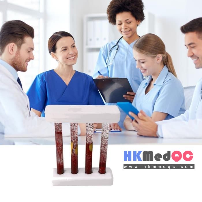 Vascular Pathology & Blood Flow Simulation Model