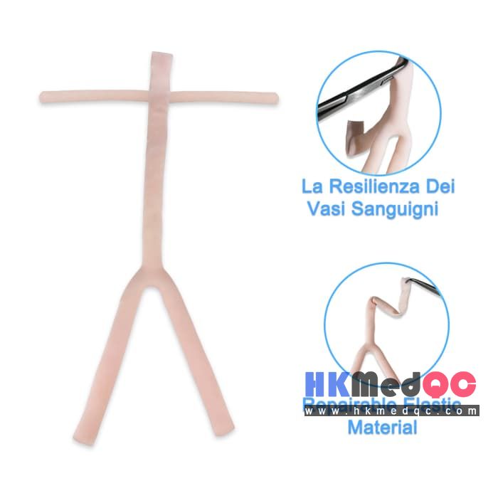 Abdominal Aorta Vascular Anastomosis Model for Medical Students & Surgeons