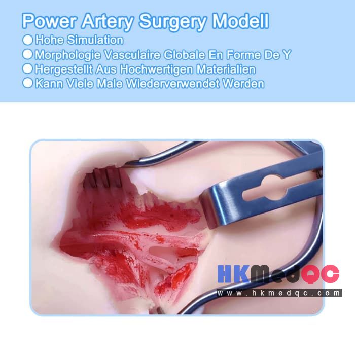 Neck Vascular Simulation Surgical Model,Carotid Artery Training Model