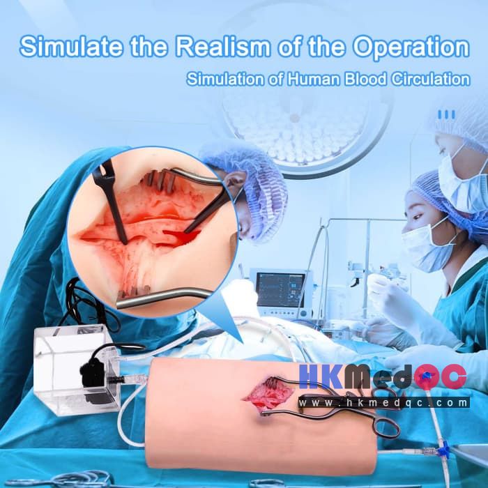 Neck Vascular Simulation Surgical Model,Carotid Artery Training Model