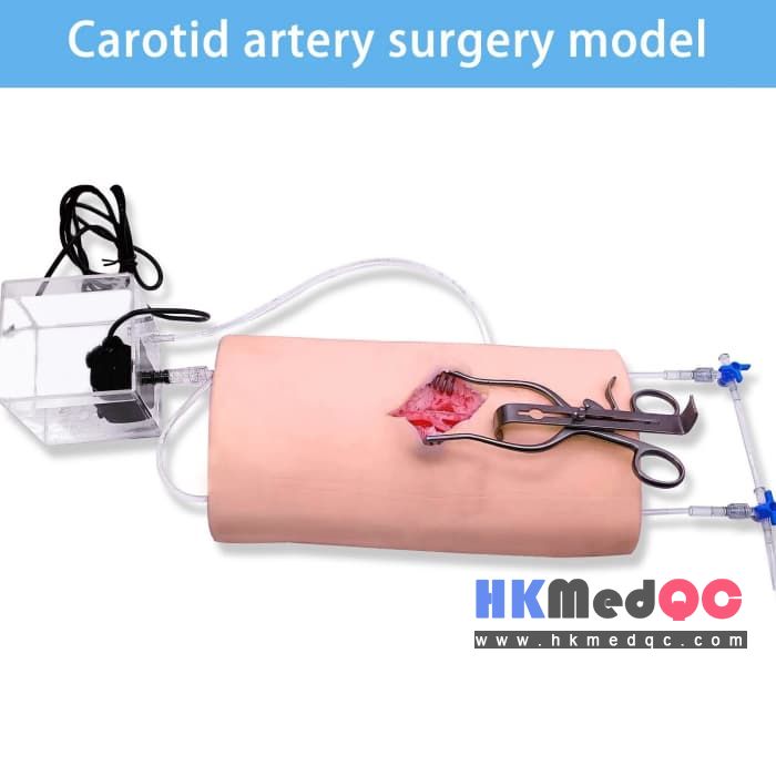 Neck Vascular Simulation Surgical Model,Carotid Artery Training Model