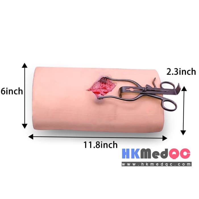 Neck Vascular Simulation Surgical Model,Carotid Artery Training Model