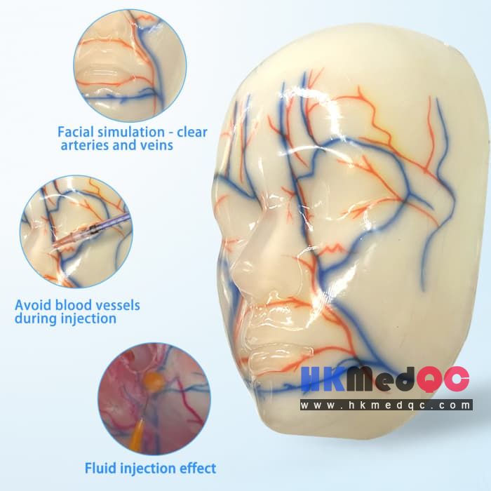 Facial Injection Filler Training Model,Facial Skin Beauty Simulation Mode