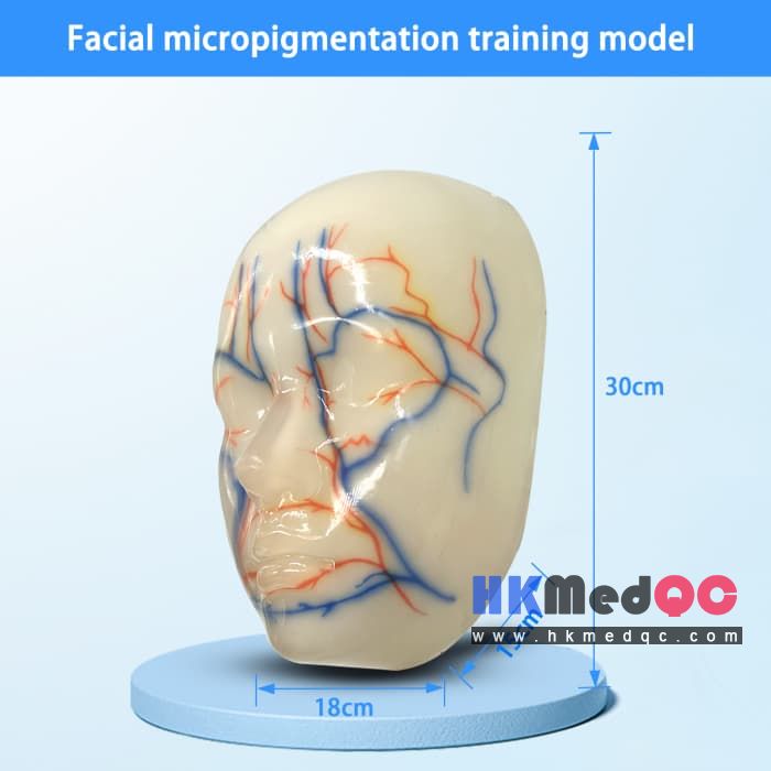 Facial Injection Filler Training Model,Facial Skin Beauty Simulation Mode