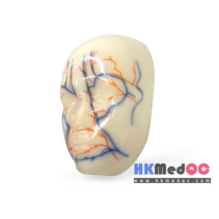 Facial Injection Filler Training Model,Facial Skin Beauty Simulation Mode