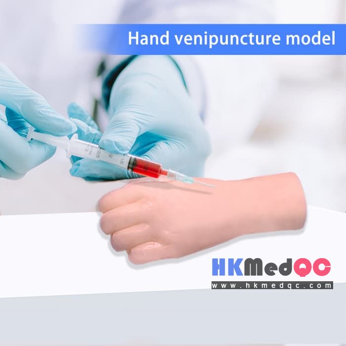 Ultrasound Hand Vein Model,Palm Blood Pressure Simulator Model