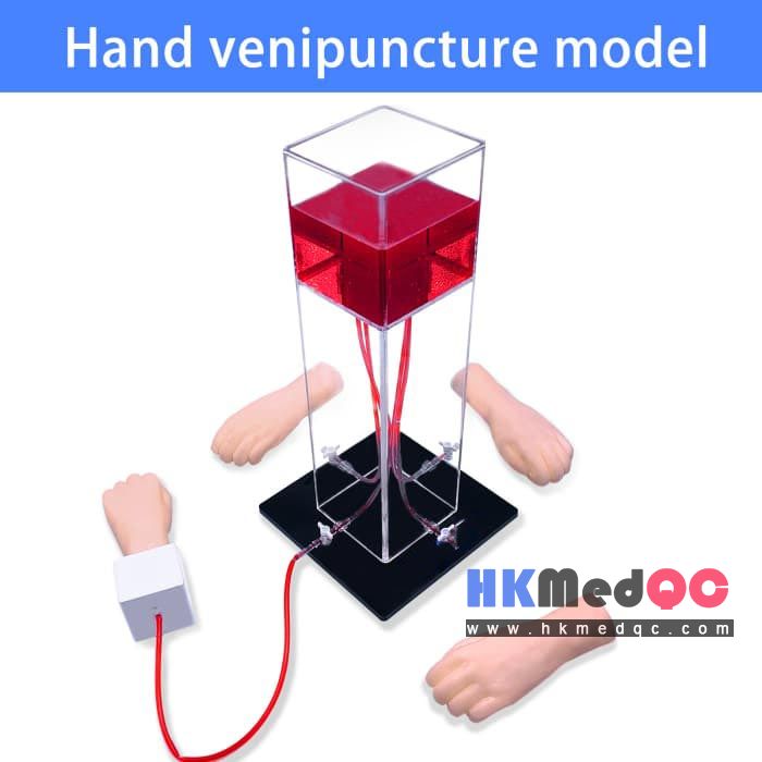 Ultrasound Hand Vein Model,Palm Blood Pressure Simulator Model