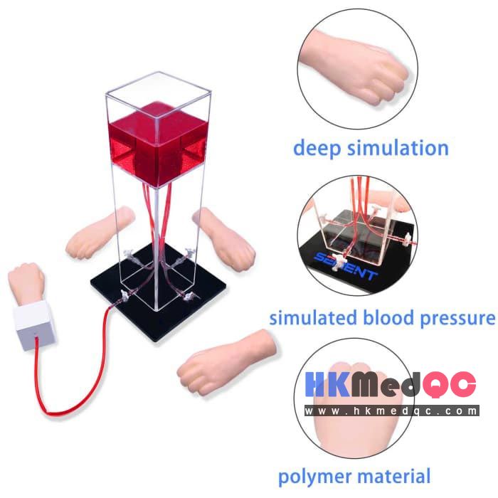Ultrasound Hand Vein Model,Palm Blood Pressure Simulator Model