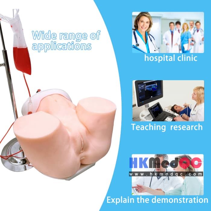 Uterine Bleeding Tamponade Training Model, Uterus Teaching Model