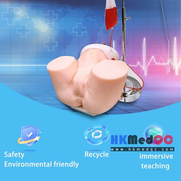 Uterine Bleeding Tamponade Training Model, Uterus Teaching Model