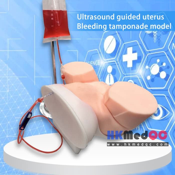 Uterine Bleeding Tamponade Training Model, Uterus Teaching Model