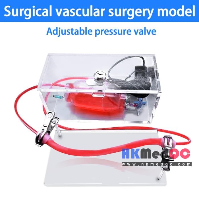 Portable Vascular Puncture Practice Kit,Vascular Surgery Simulation Training Box