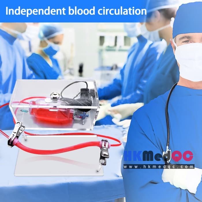Portable Vascular Puncture Practice Kit,Vascular Surgery Simulation Training Box